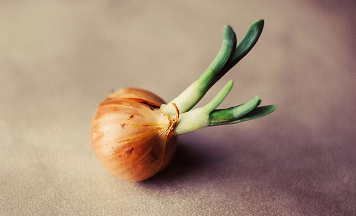 10 Foods That Help Reduce Joint Pain