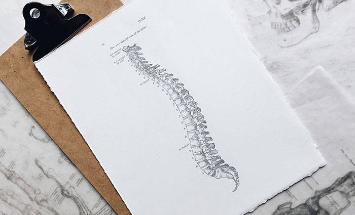 Degenerative Disc Disease - Everything You Need to Know 