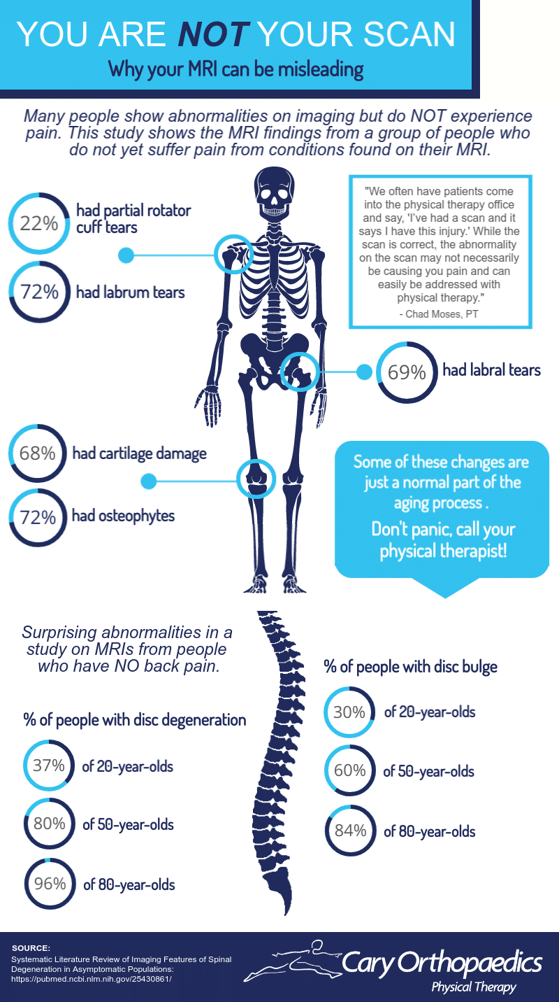 you are not your scan infographic