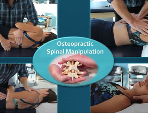 Patient Education Series: Spinal Manipulation