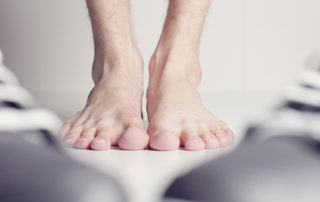The Anatomy of the Foot